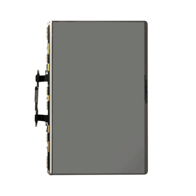 LCD Display Only for MacBook Pro 16