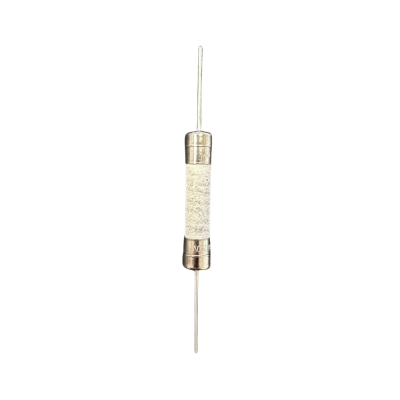 T8A H 250V 6x30mm replacement fuse for PlayStation 5