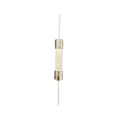 T8A H 250V 6x30mm replacement fuse for PlayStation 5