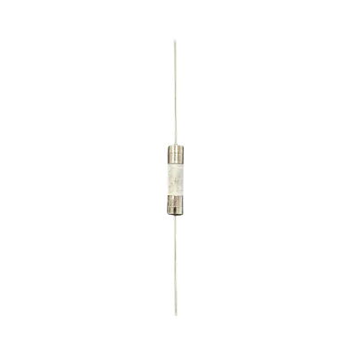 T8A H 250V 5x20mm slow-blow ceramic fuse for PlayStation 5